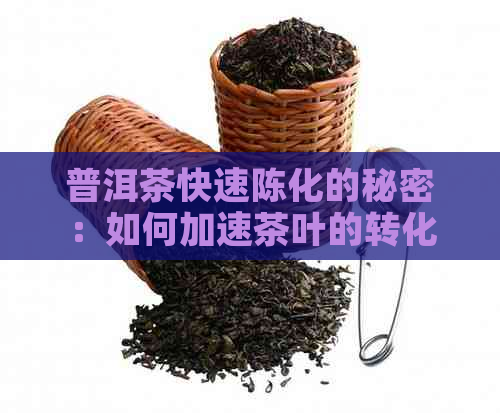 普洱茶快速陈化的秘密：如何加速茶叶的转化过程？