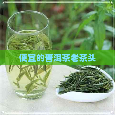 便宜的普洱茶老茶头