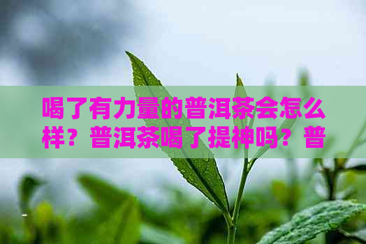 喝了有力量的普洱茶会怎么样？普洱茶喝了提神吗？普洱茶喝了会胖吗？