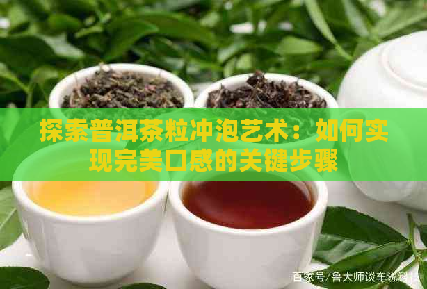 探索普洱茶粒冲泡艺术：如何实现完美口感的关键步骤