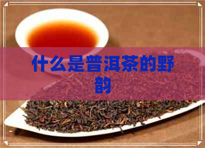 什么是普洱茶的野韵