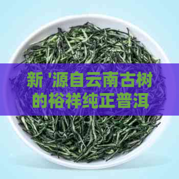 新 '源自云南古树的裕祥纯正普洱茶，滋味醇厚回，品鉴尊享'