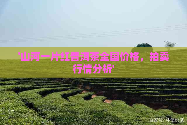 '山河一片红普洱茶全国价格，拍卖行情分析'