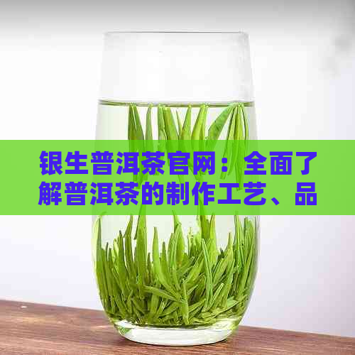 银生普洱茶官网：全面了解普洱茶的制作工艺、品质保证与选购指南