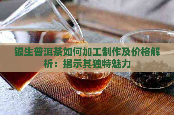 银生普洱茶如何加工制作及价格解析：揭示其独特魅力