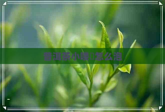 普洱茶小喽啰怎么泡