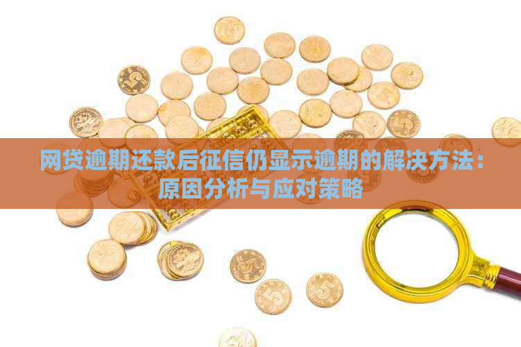 网贷逾期还款后仍显示逾期的解决方法：原因分析与应对策略