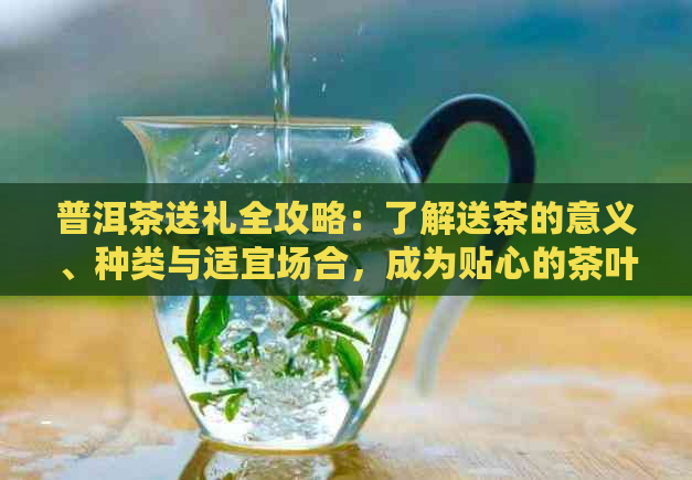 普洱茶送礼全攻略：了解送茶的意义、种类与适宜场合，成为贴心的茶叶推荐者