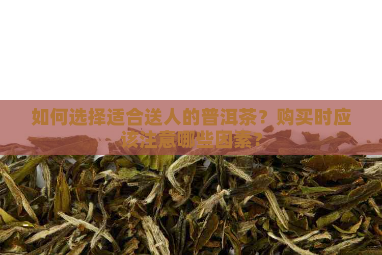 如何选择适合送人的普洱茶？购买时应该注意哪些因素？