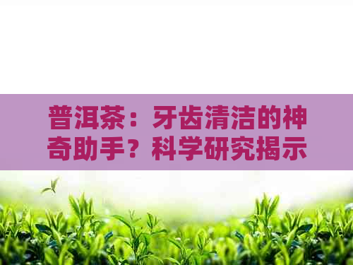 普洱茶：牙齿清洁的神奇助手？科学研究揭示真相