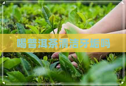 喝普洱茶清洁牙垢吗