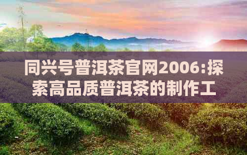 同兴号普洱茶官网2006:探索高品质普洱茶的制作工艺与历传承