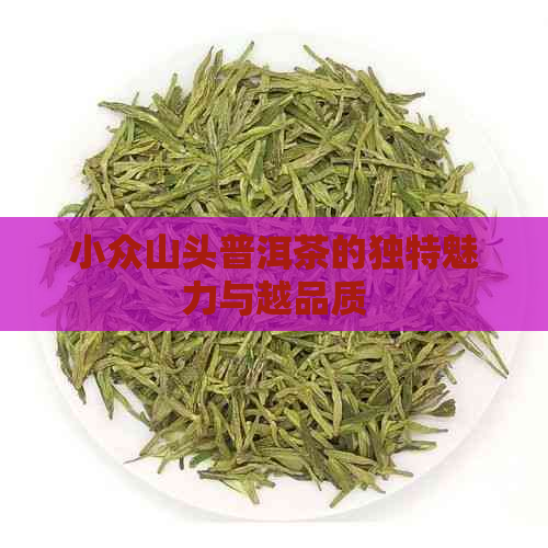 小众山头普洱茶的独特魅力与越品质