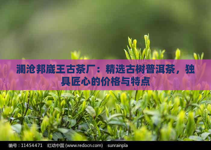 澜沧邦崴王古茶厂：精选古树普洱茶，独具匠心的价格与特点