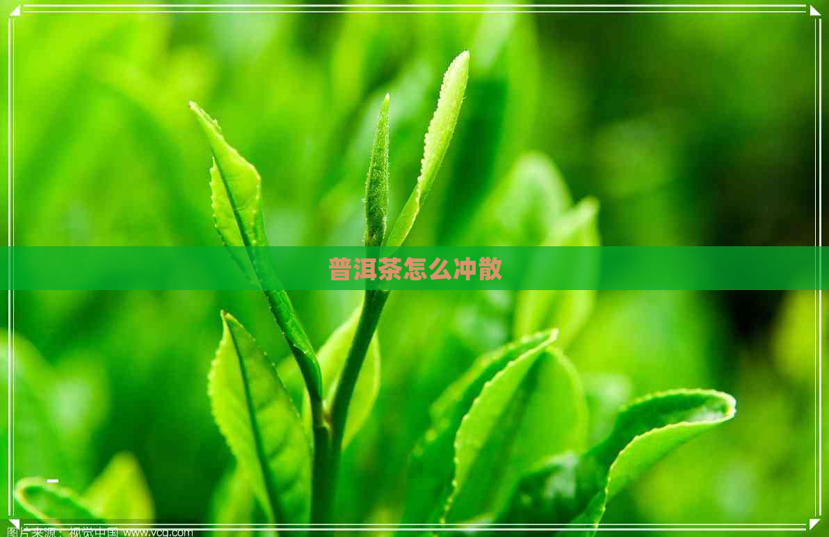 普洱茶怎么冲散