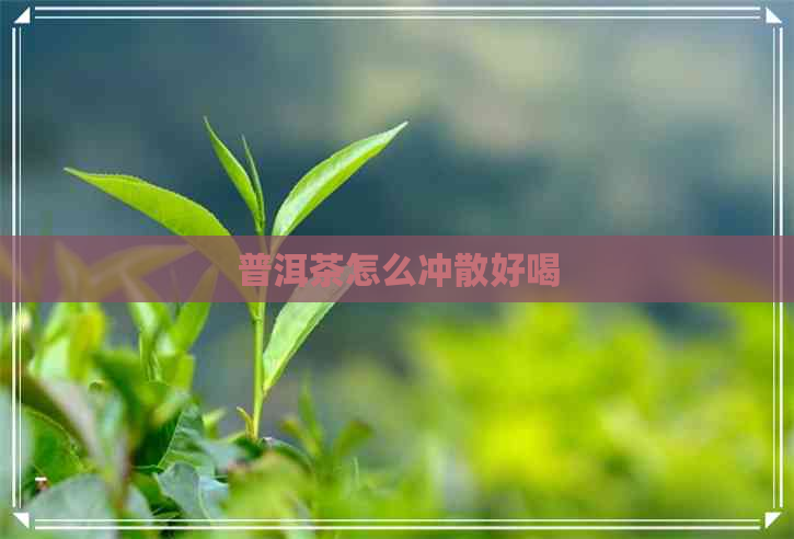 普洱茶怎么冲散好喝