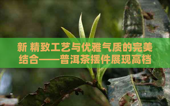 新 精致工艺与优雅气质的完美结合——普洱茶摆件展现高档大气风格