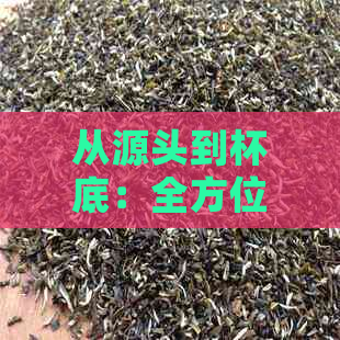 从源头到杯底：全方位解决普洱茶异味问题，让品茗更愉悦