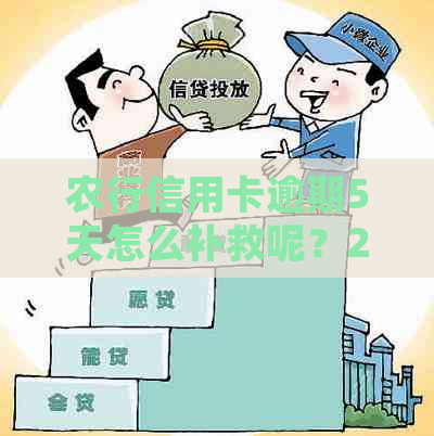 农行信用卡逾期5天怎么补救呢？2020年新法规及案例解析。