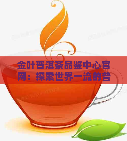 金叶普洱茶品鉴中心官网：探索世界一流的普洱茶体验与文化传承