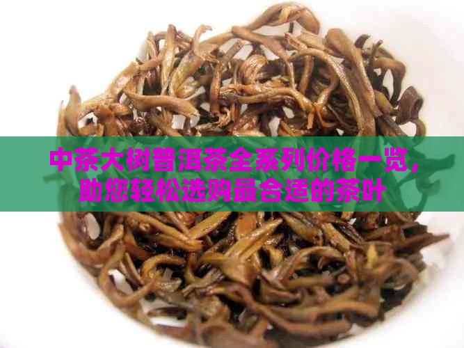 中茶大树普洱茶全系列价格一览，助您轻松选购最合适的茶叶