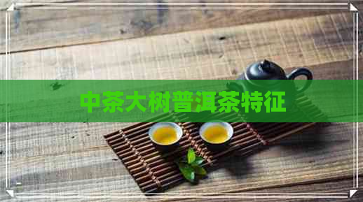 中茶大树普洱茶特征