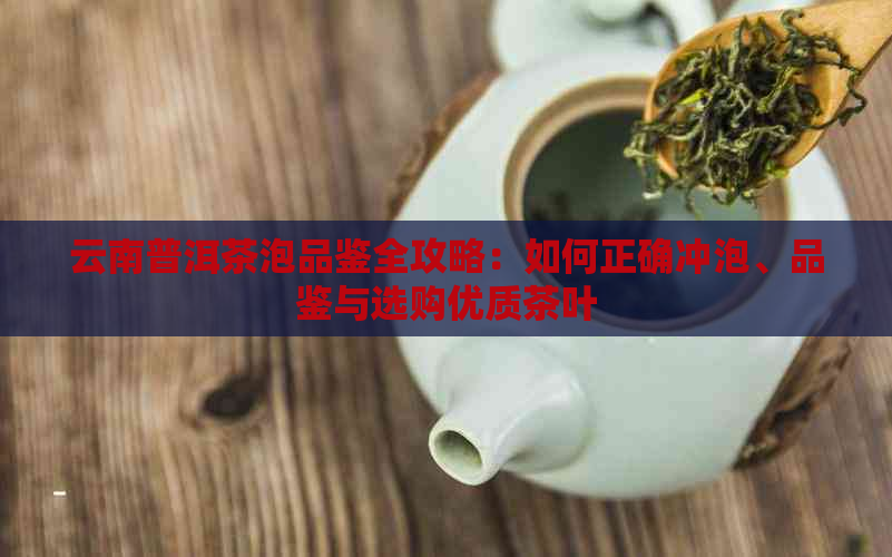 云南普洱茶泡品鉴全攻略：如何正确冲泡、品鉴与选购优质茶叶