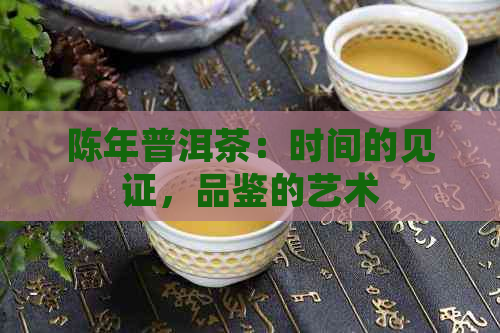 陈年普洱茶：时间的见证，品鉴的艺术