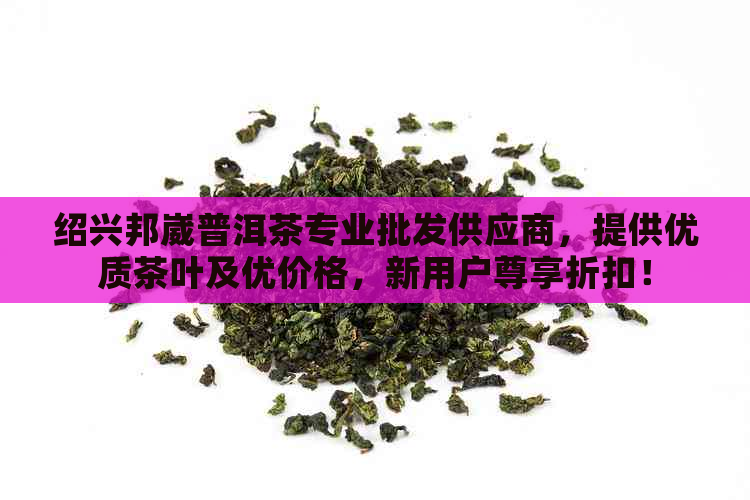 绍兴邦崴普洱茶专业批发供应商，提供优质茶叶及优价格，新用户尊享折扣！