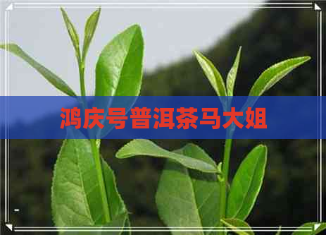 鸿庆号普洱茶马大姐