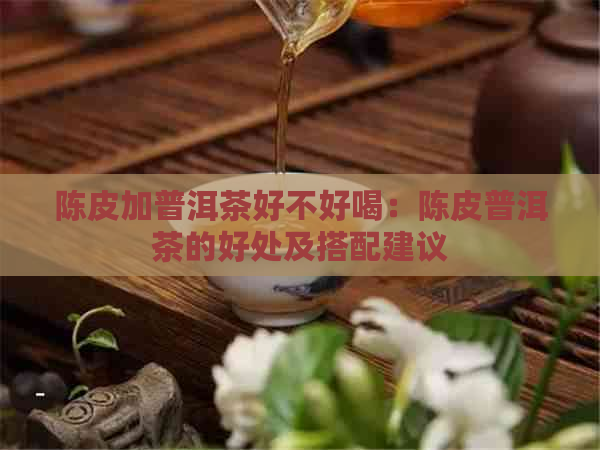 陈皮加普洱茶好不好喝：陈皮普洱茶的好处及搭配建议