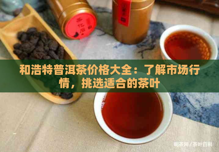 和浩特普洱茶价格大全：了解市场行情，挑选适合的茶叶