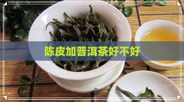 陈皮加普洱茶好不好