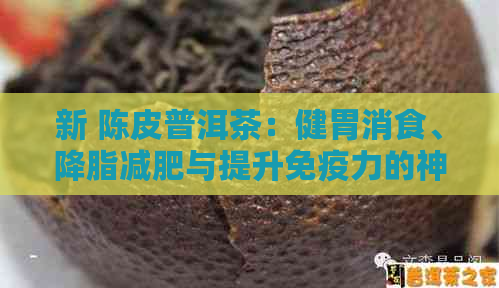 新 陈皮普洱茶：健胃消食、降脂减肥与提升免疫力的神奇组合