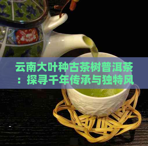 云南大叶种古茶树普洱茶：探寻千年传承与独特风味