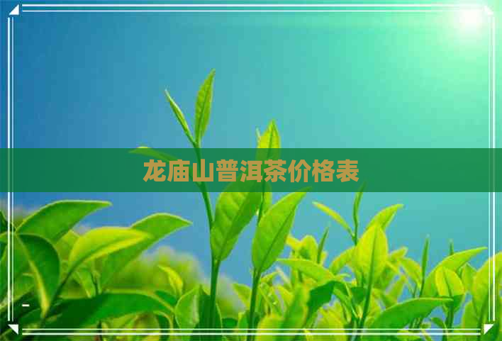 龙庙山普洱茶价格表