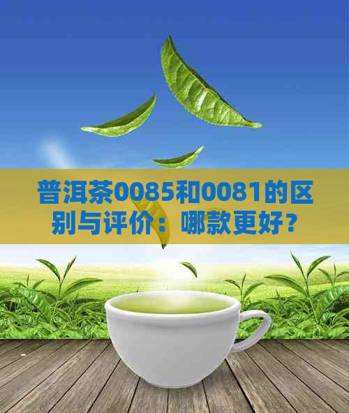 普洱茶0085和0081的区别与评价：哪款更好？