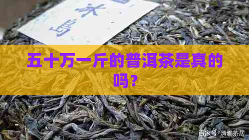 五十万一斤的普洱茶是真的吗？