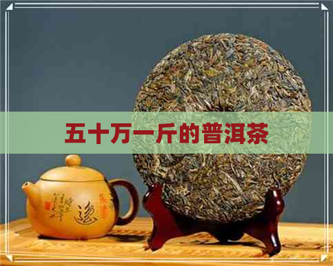 五十万一斤的普洱茶