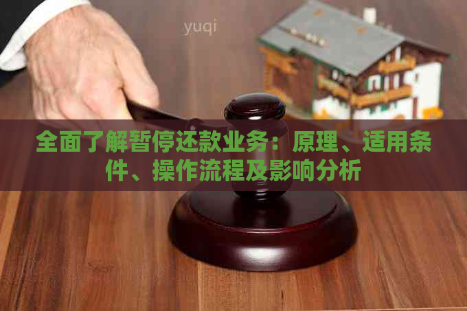 全面了解暂停还款业务：原理、适用条件、操作流程及影响分析