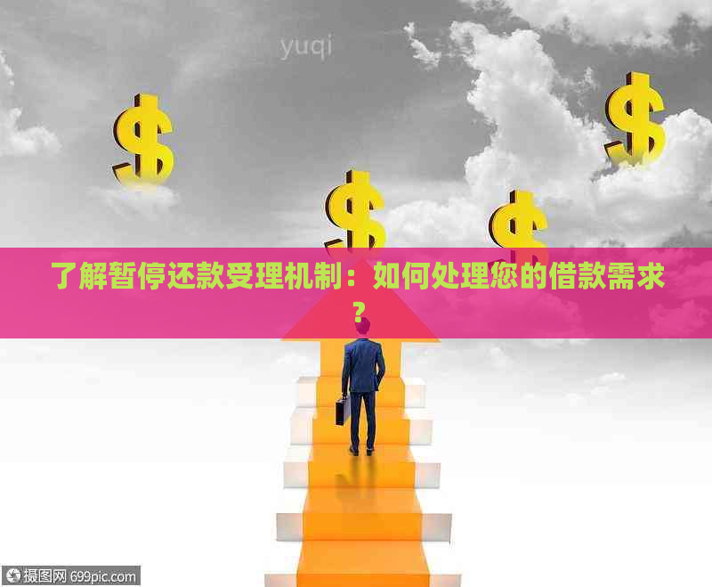 了解暂停还款受理机制：如何处理您的借款需求？