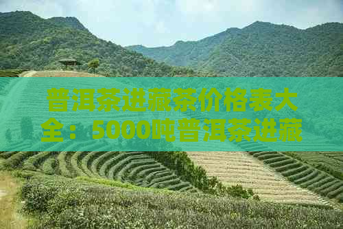 普洱茶进藏茶价格表大全：5000吨普洱茶进藏