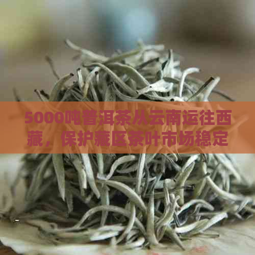 5000吨普洱茶从云南运往     ，保护藏区茶叶市场稳定发展