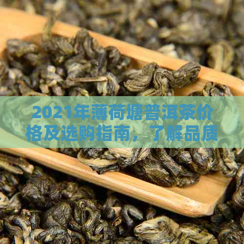 2021年薄荷塘普洱茶价格及选购指南，了解品质与性价比的完美结合