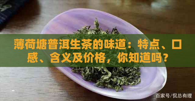 薄荷塘普洱生茶的味道：特点、口感、含义及价格，你知道吗？