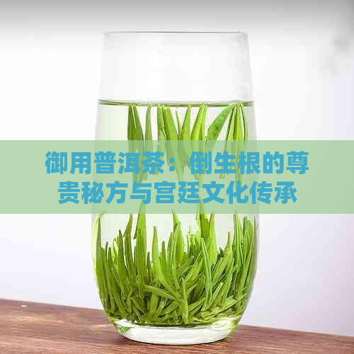 御用普洱茶：倒生根的尊贵秘方与宫廷文化传承