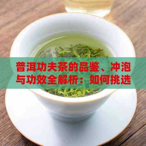 普洱功夫茶的品鉴、冲泡与功效全解析：如何挑选、泡制并领略其健益处？