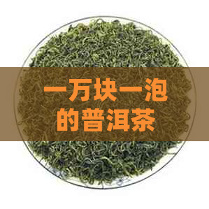 一万块一泡的普洱茶