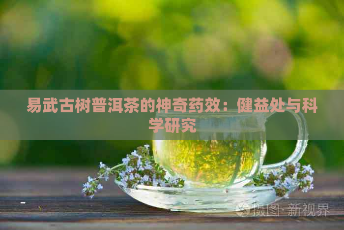 易武古树普洱茶的神奇药效：健益处与科学研究