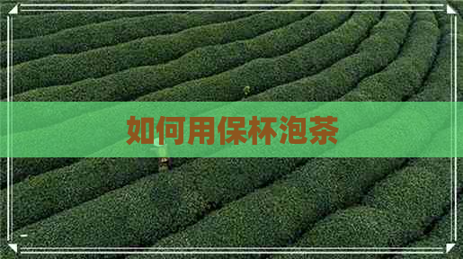 如何用保杯泡茶